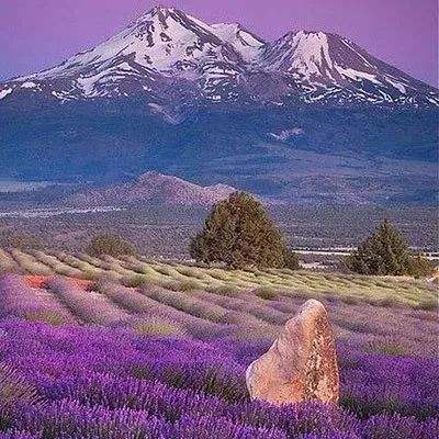 宝威体育官网截图